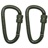 Karabiner,  Schraubverschluss, D 6 mm x 6 cm,  2er Pack,  oliv