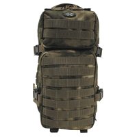 US Rucksack,  Assault I, HDT-camo FG