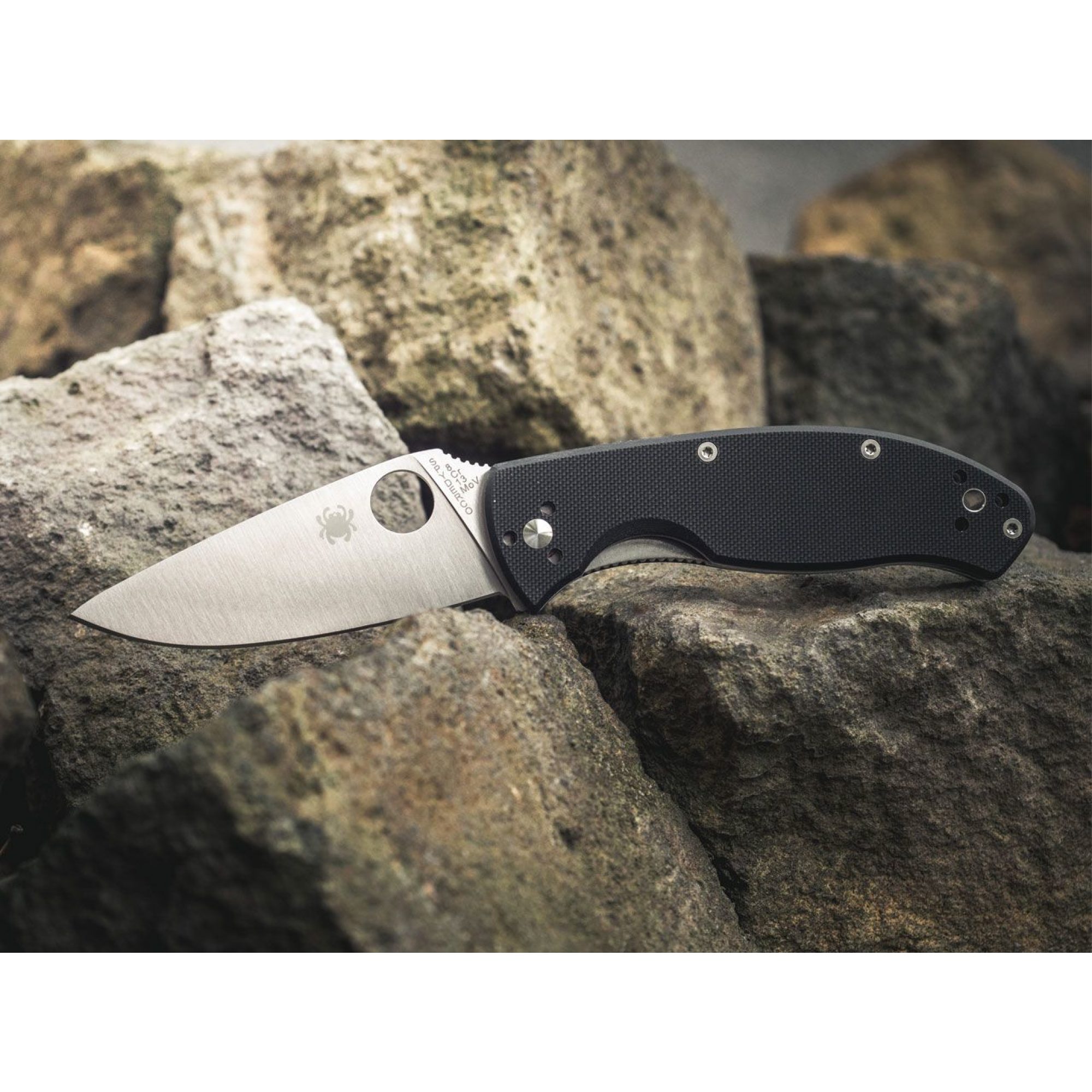 Spyderco Tenacious Satin Plain