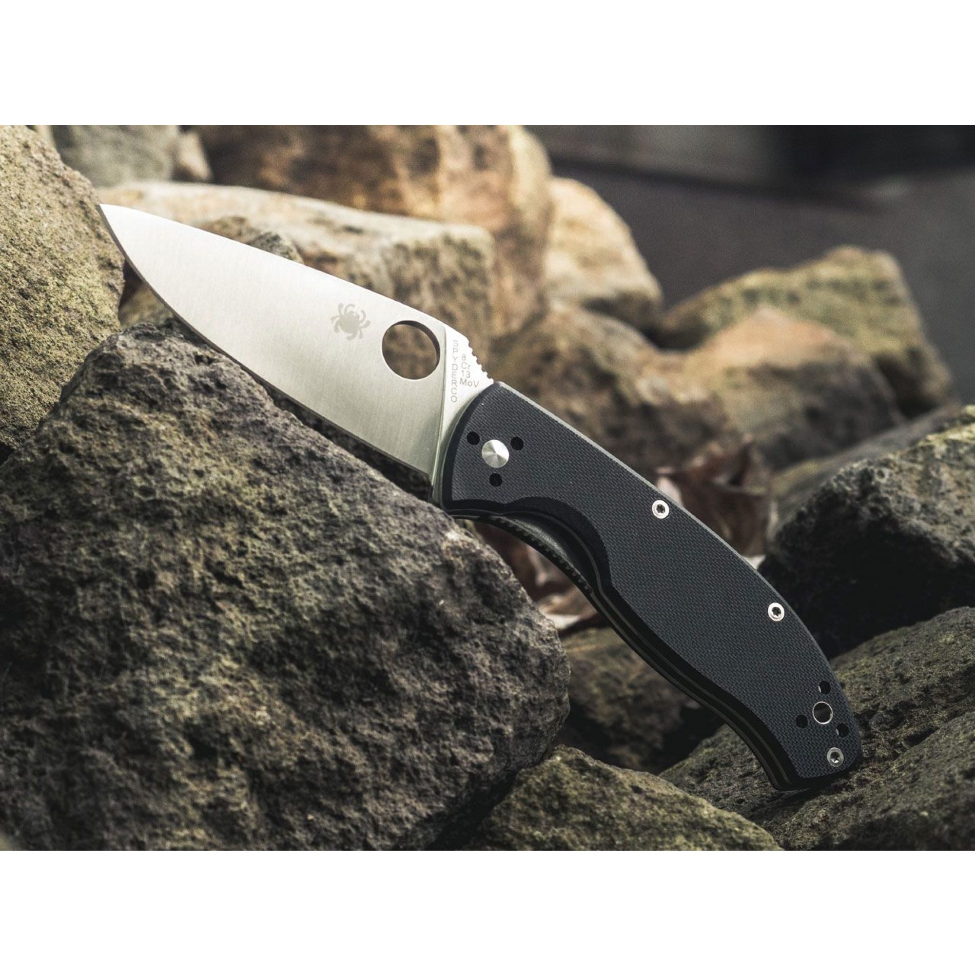 Spyderco Tenacious Satin Plain
