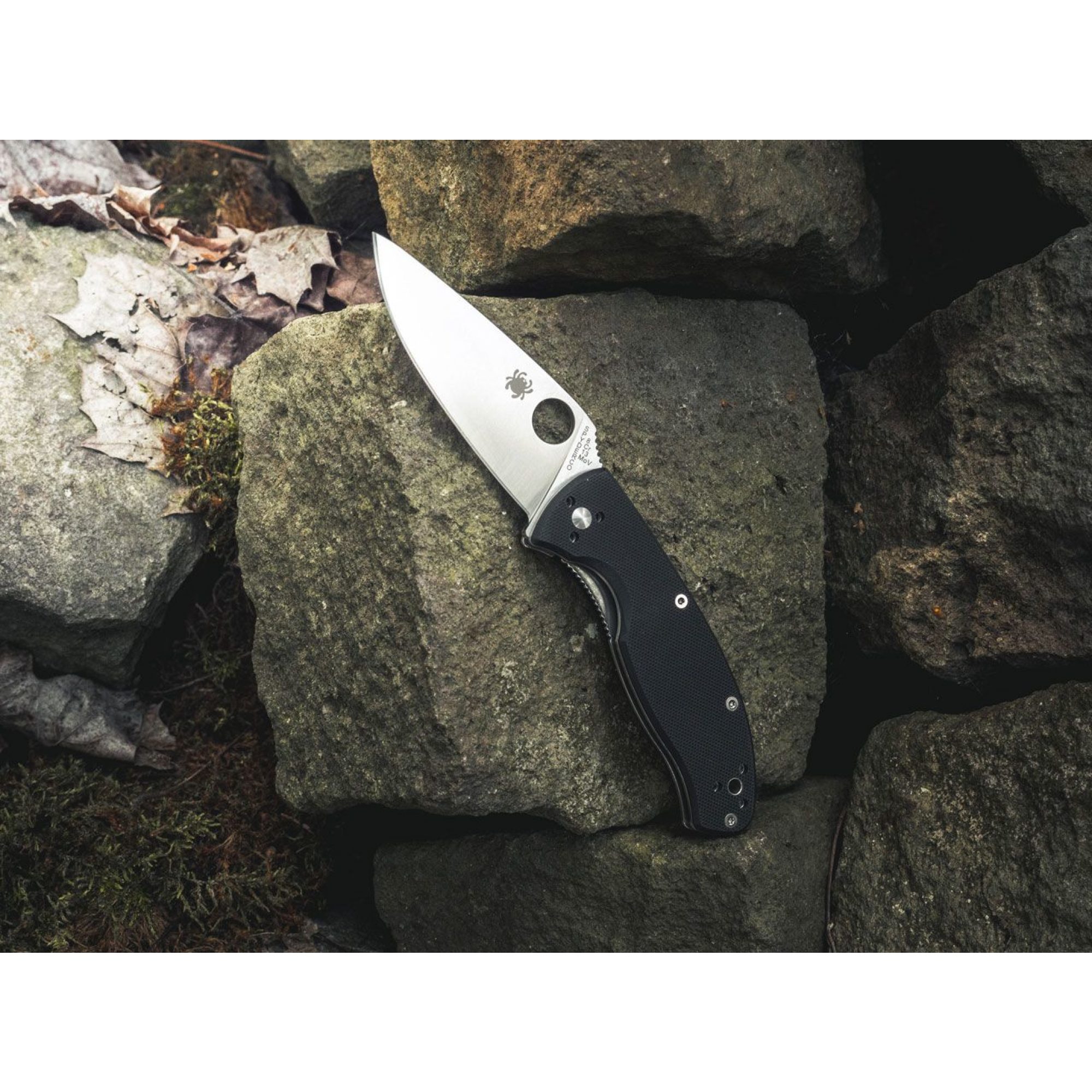 Spyderco Tenacious Satin Plain
