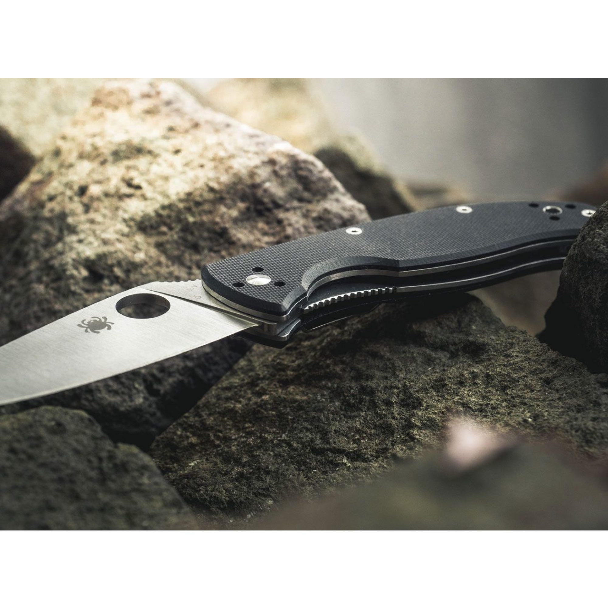 Spyderco Tenacious Satin Plain