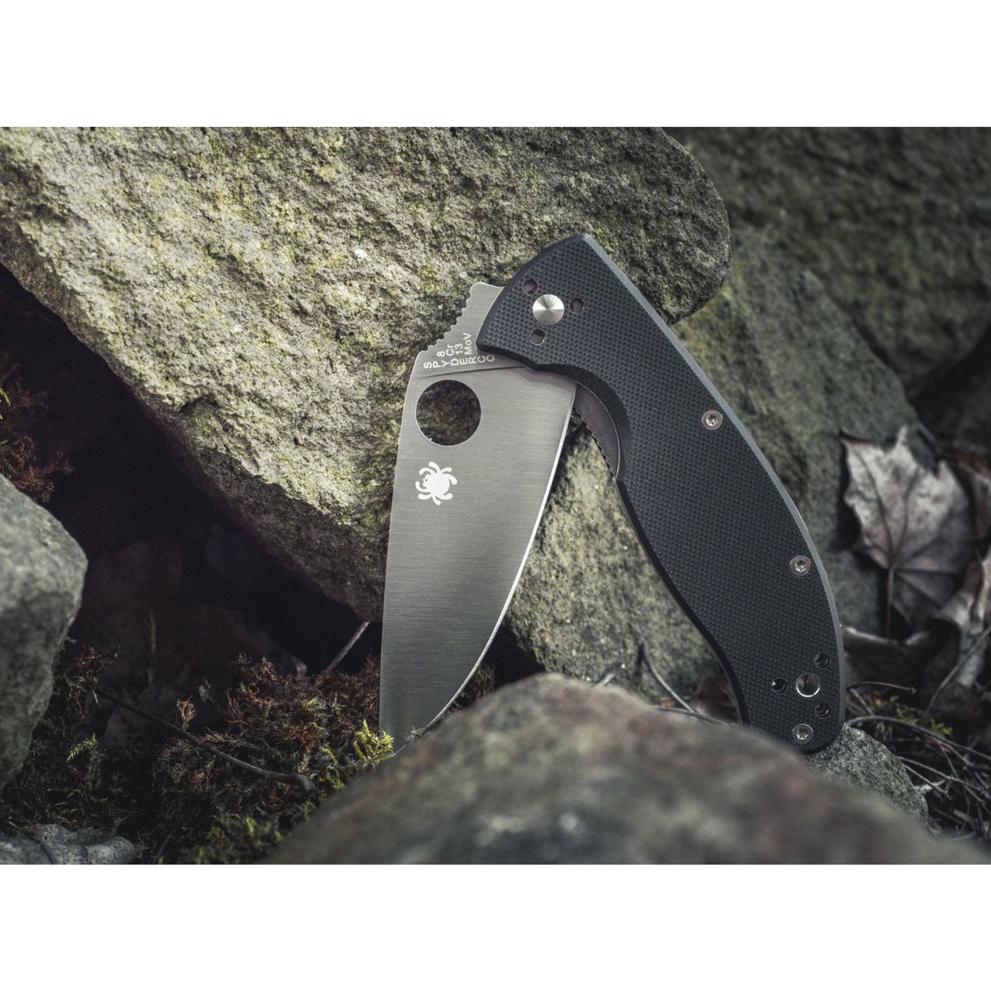 Spyderco Tenacious Satin Plain