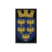 Patch Flagge Bosnien-Herzegowina 100x50mm, Klett