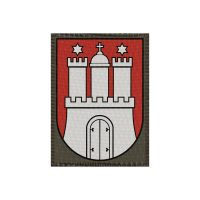 Wappen Vorarlberg 50x68mm Oliv, Klett Patch