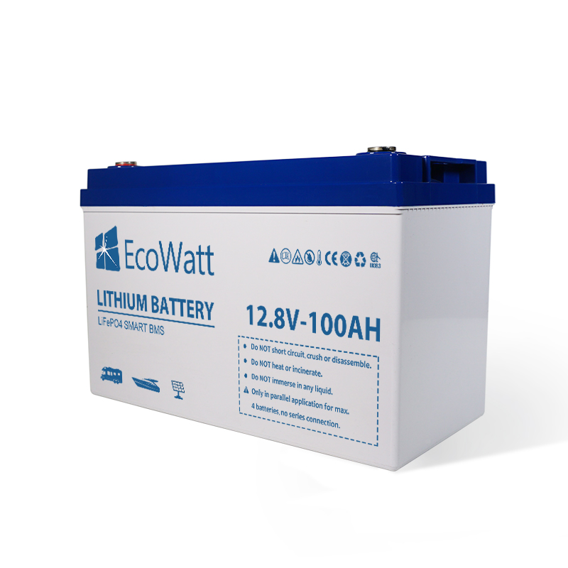 Ecowatt LiFePO4 12.8V 100Ah LED Lithium Batterie für Wohnmobil