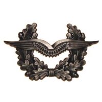 BW Schirmmützenabzeichen, „Luftwaffe“